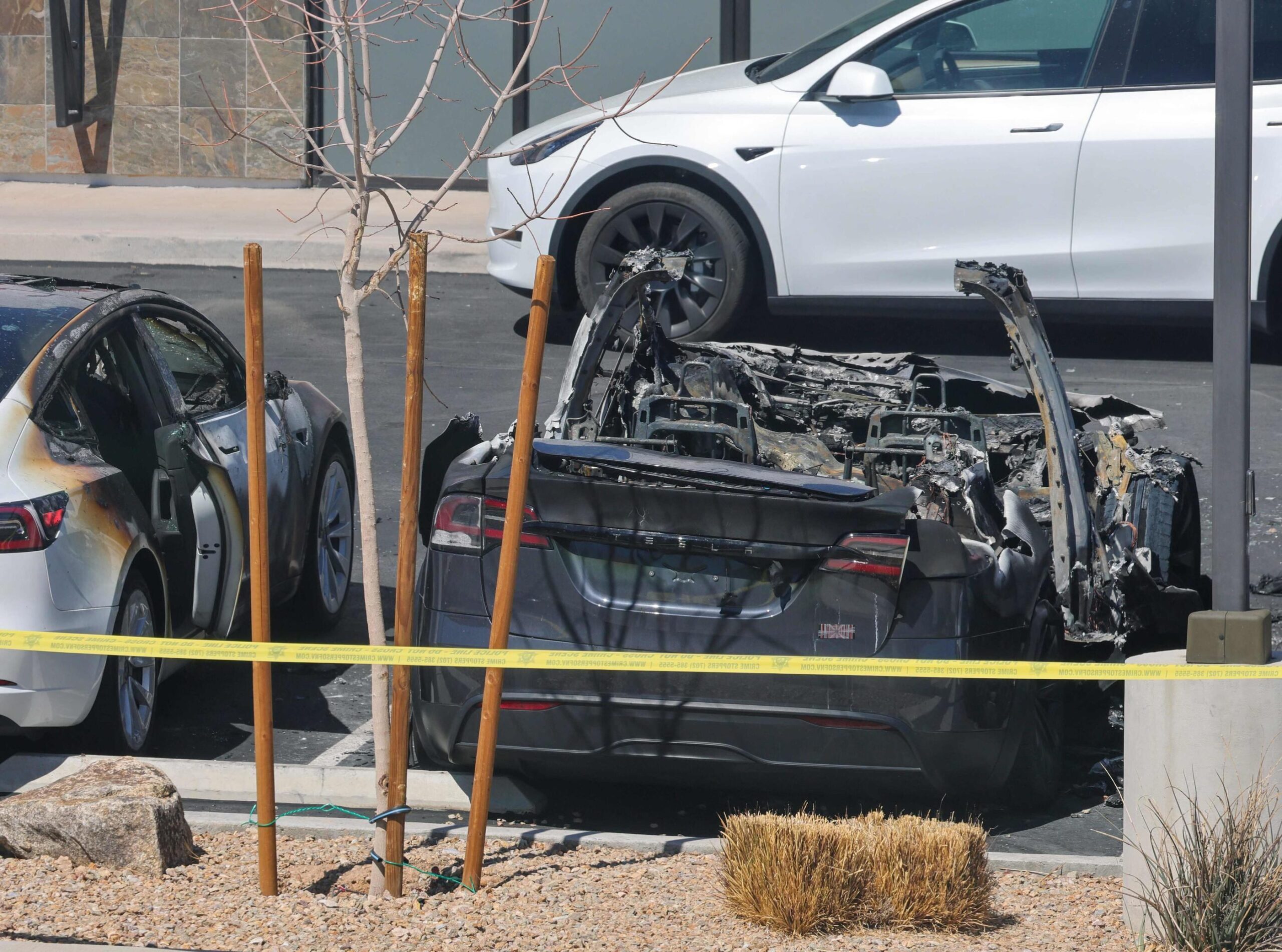 découvrez la communauté tesla aux états-unis, un réseau passionné d'amateurs de voitures électriques partageant des conseils, des expériences et des actualités sur l'innovation automobile et le développement durable.