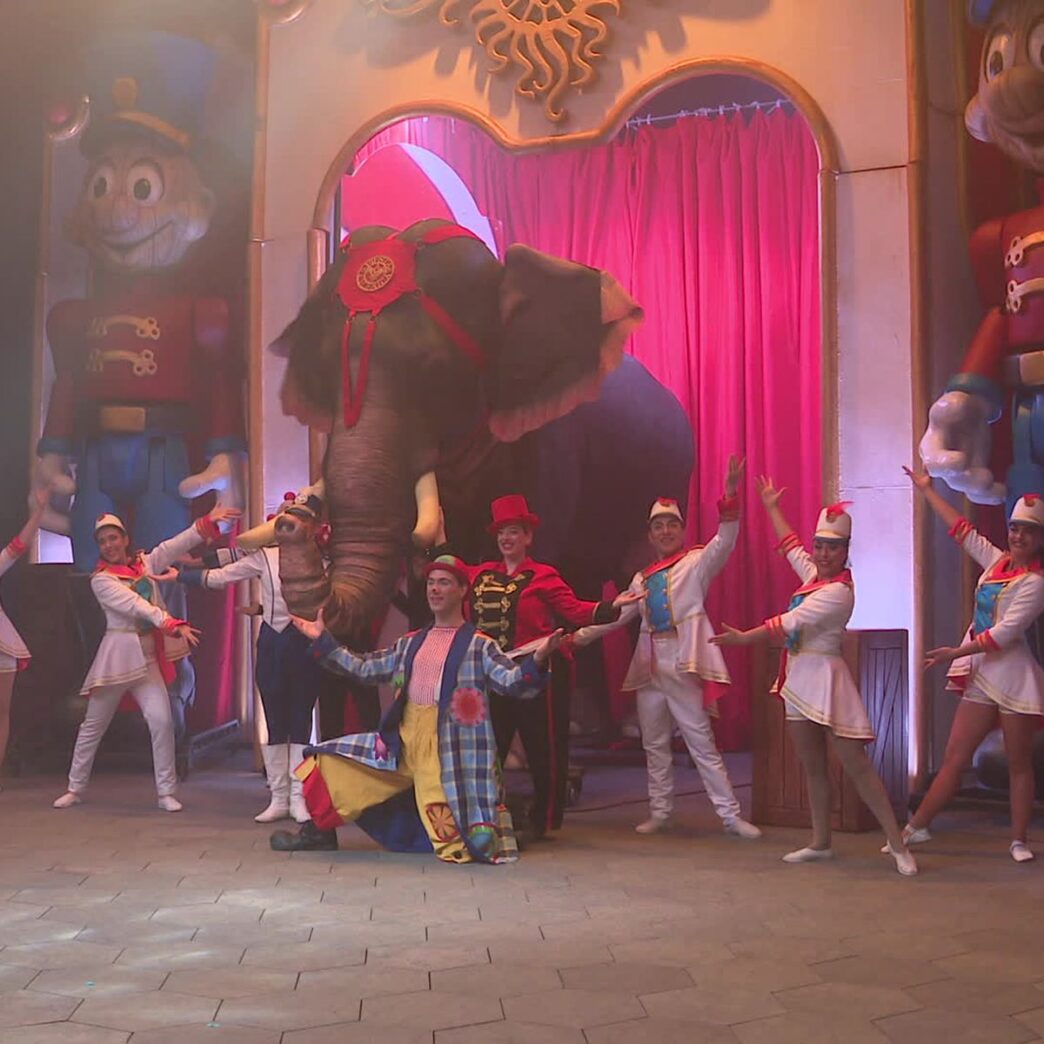 découvrez l'incroyable spectacle de l'éléphant robotique au cirque de toulouse ! une performance fascinante alliant technologie et art du cirque, idéale pour toute la famille. ne manquez pas cette expérience unique et immersive qui émerveillera petits et grands.