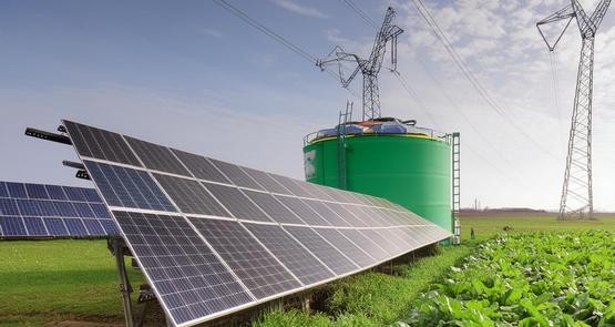 découvrez comment les panneaux solaires révolutionnent l'agriculture durable. apprenez les avantages de l'énergie solaire pour les exploitations agricoles, optimiser vos coûts et contribuer à la protection de l'environnement tout en augmentant votre production.