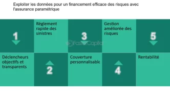 découvrez comment l'intelligence artificielle transforme le secteur de l'assurance paramétrique, en offrant des solutions innovantes et personnalisées pour une gestion optimale des risques et une indemnisation rapide et efficace.